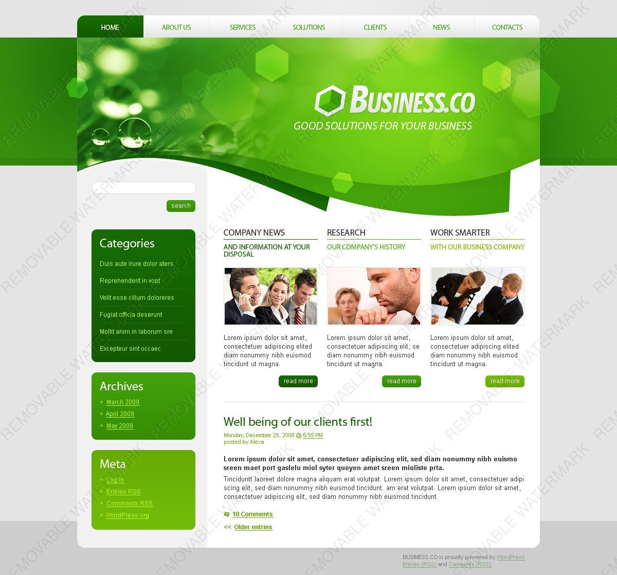 WordPress Themes - GoWebBaby.Com