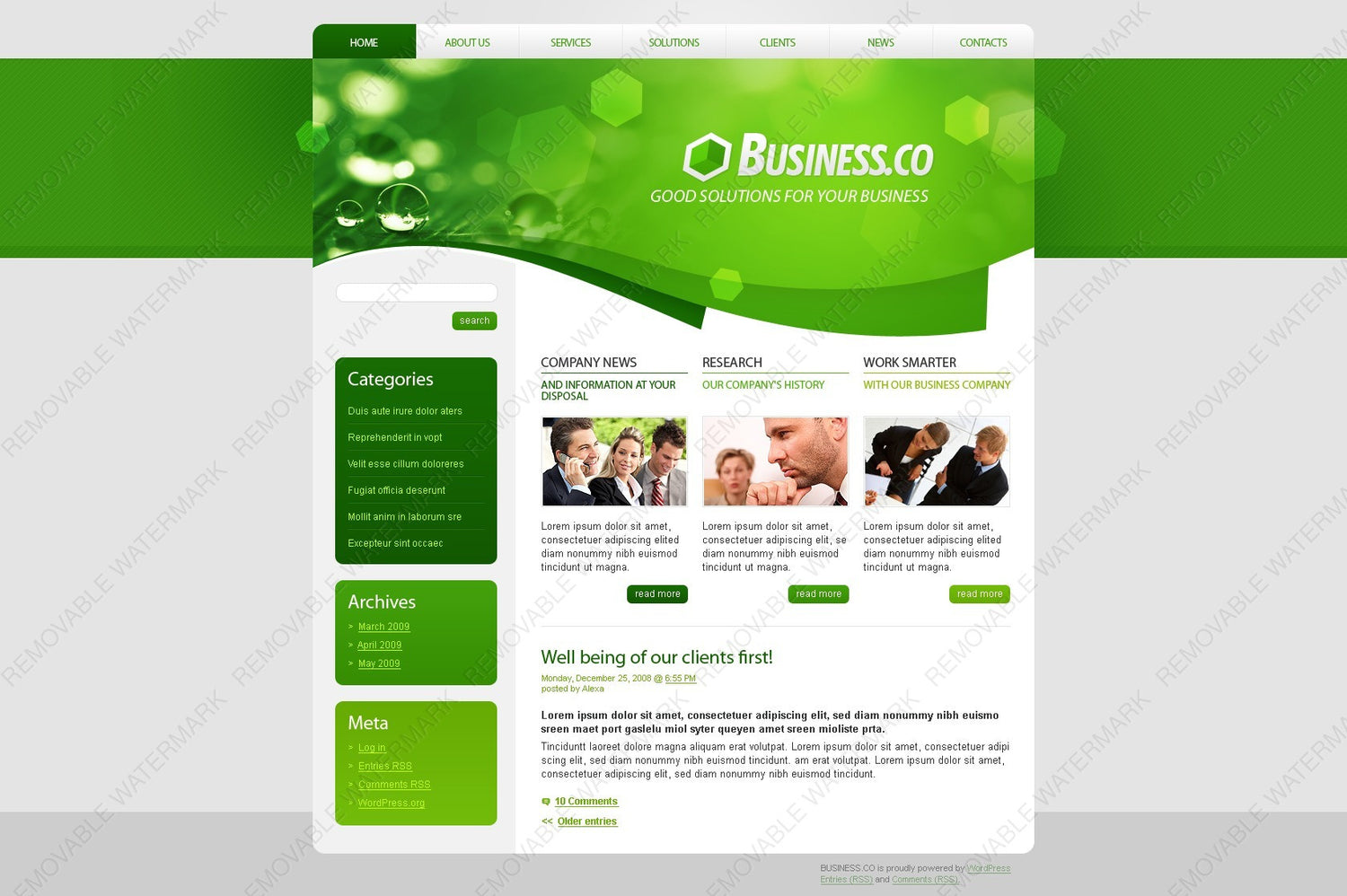WordPress Themes - GoWebBaby.Com