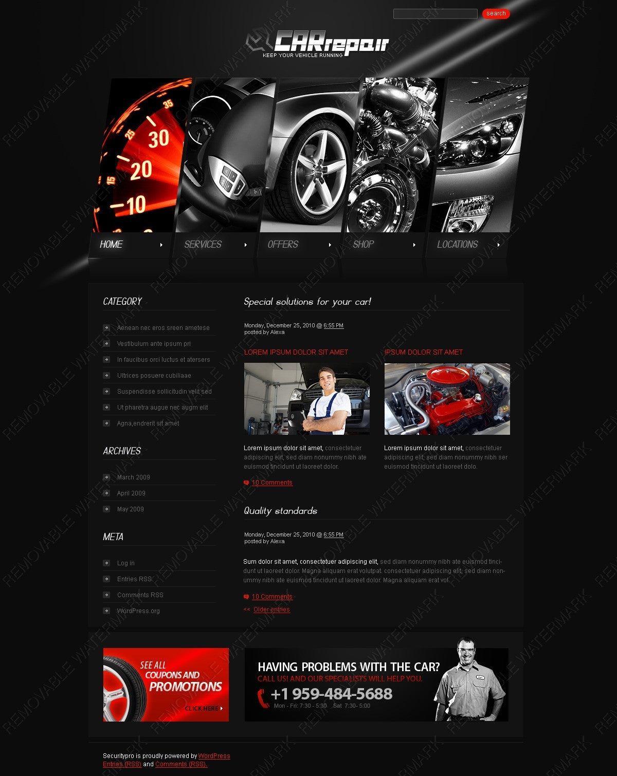 WordPress Themes - GoWebBaby.Com