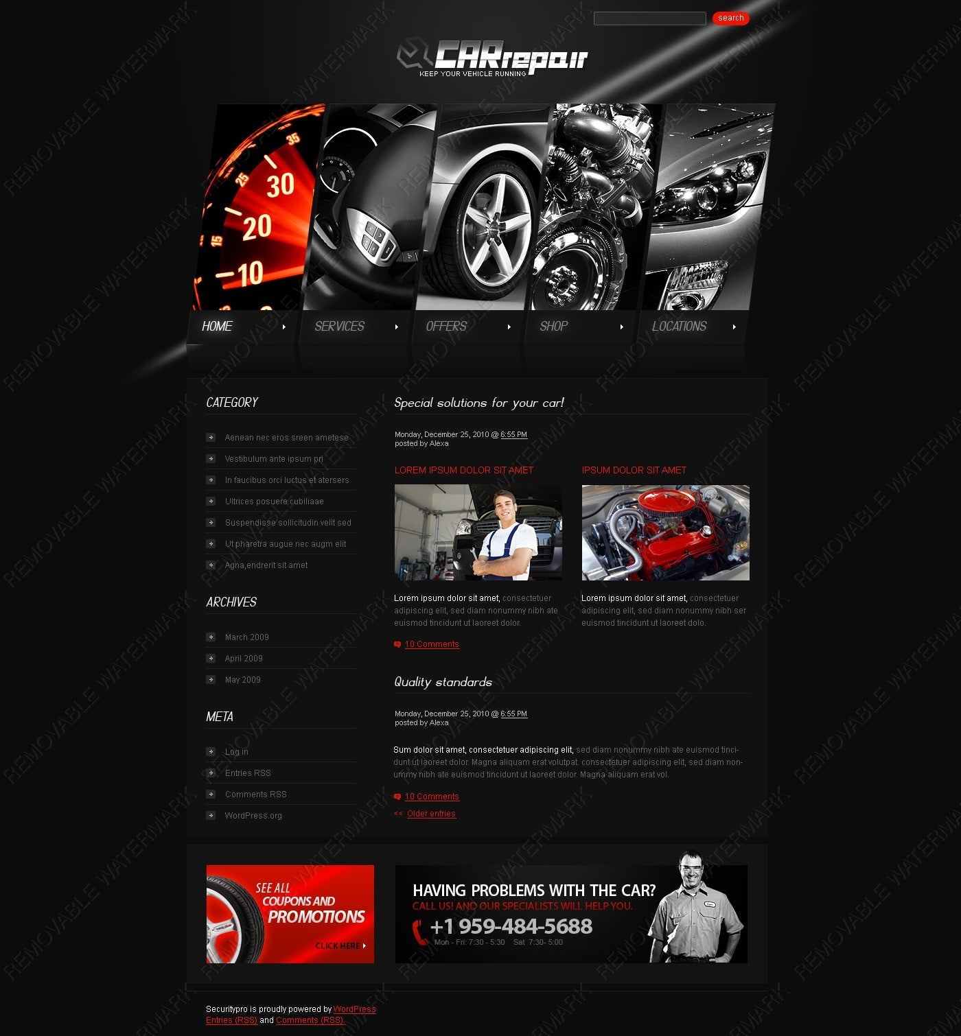 WordPress Themes - GoWebBaby.Com