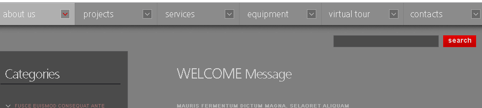 WordPress Themes - GoWebBaby.Com