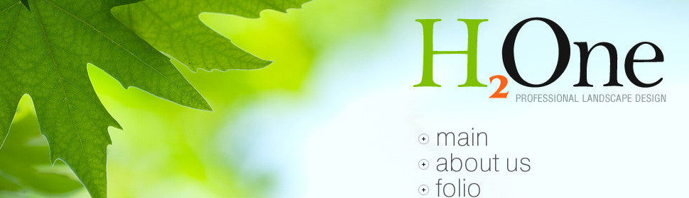 WordPress Themes - GoWebBaby.Com