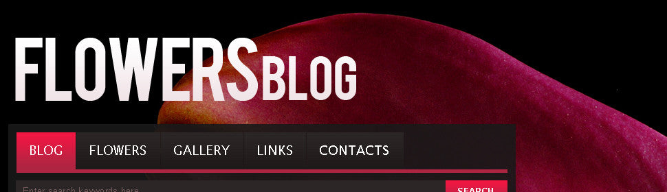 WordPress Themes - GoWebBaby.Com