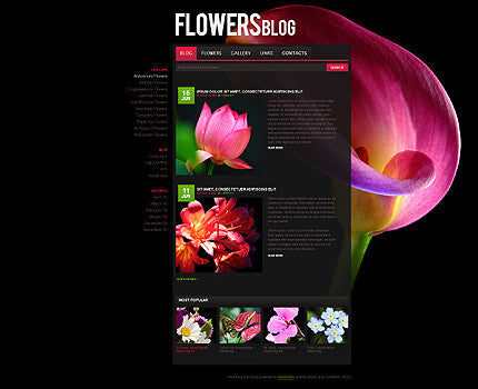 WordPress Themes - GoWebBaby.Com