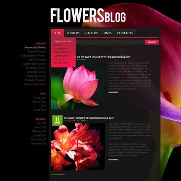 WordPress Themes - GoWebBaby.Com