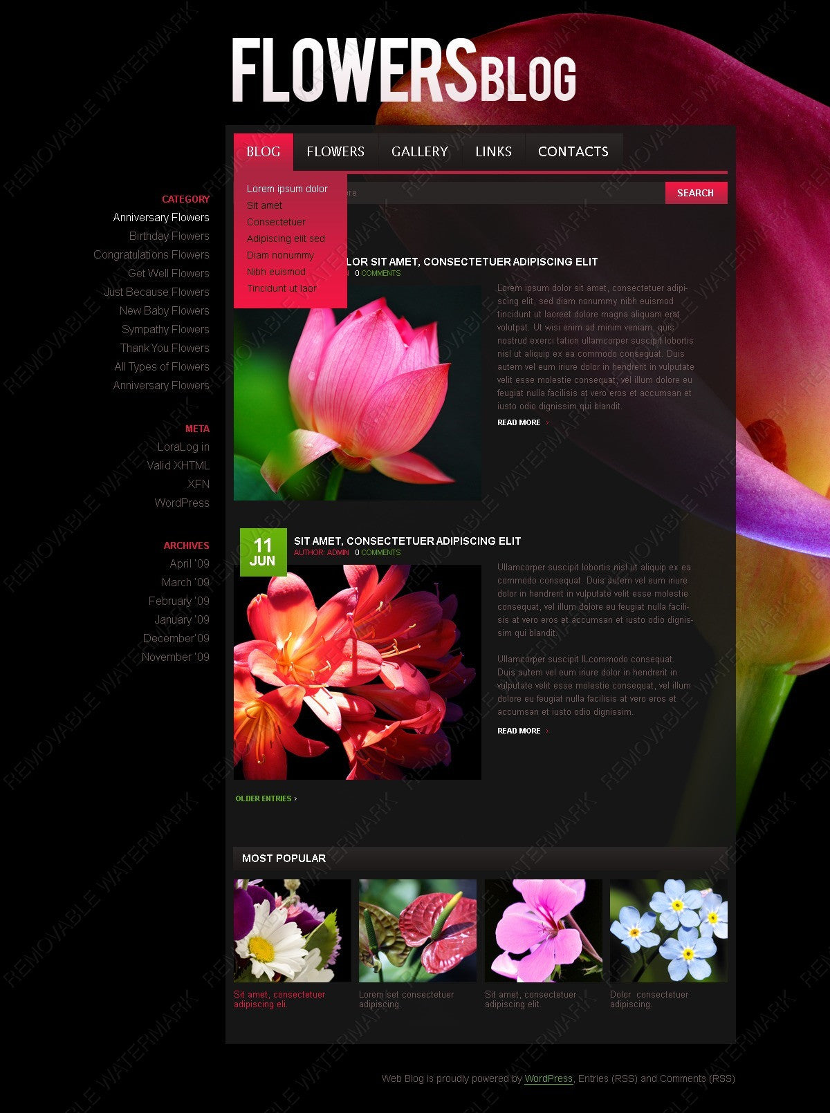 WordPress Themes - GoWebBaby.Com