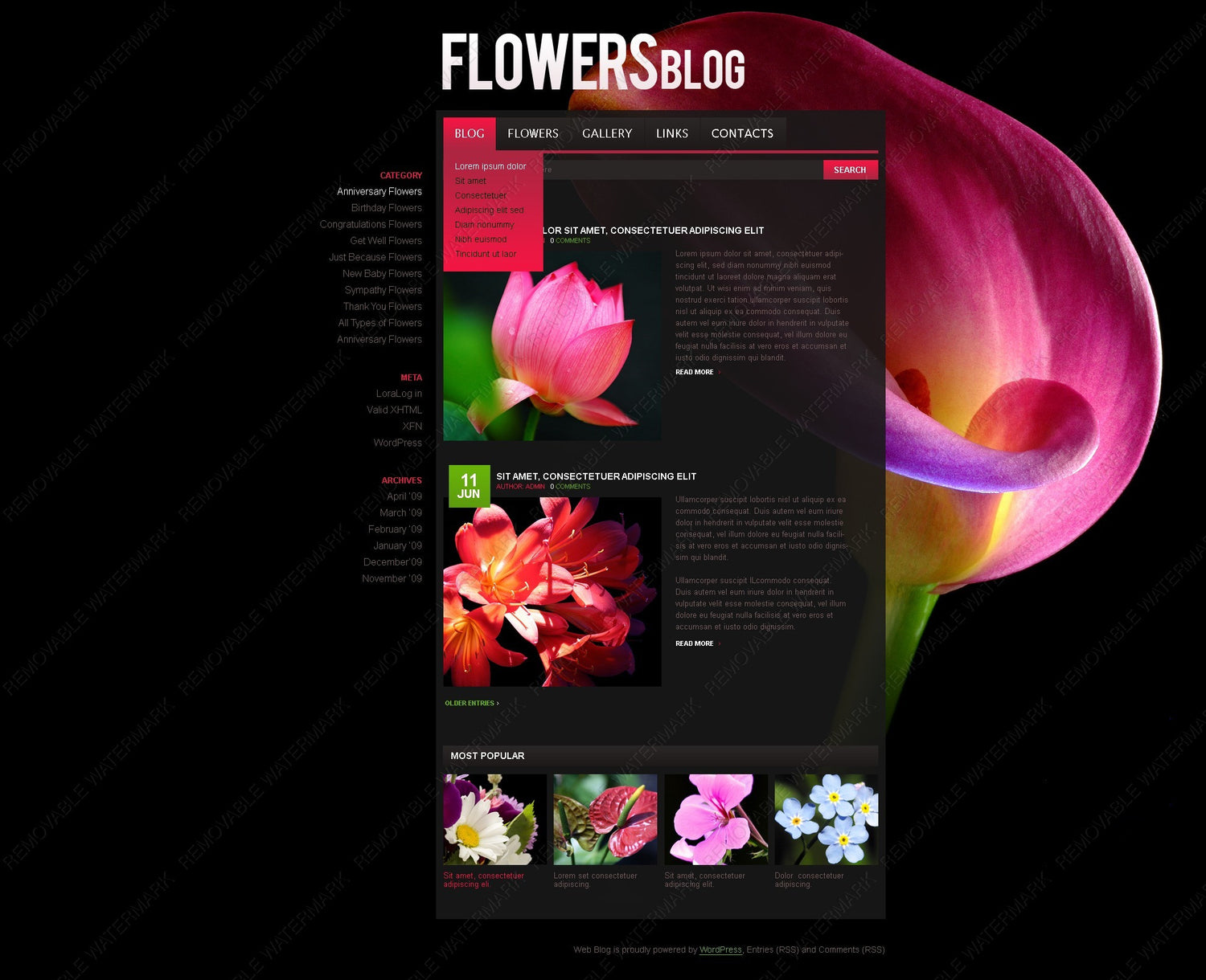 WordPress Themes - GoWebBaby.Com