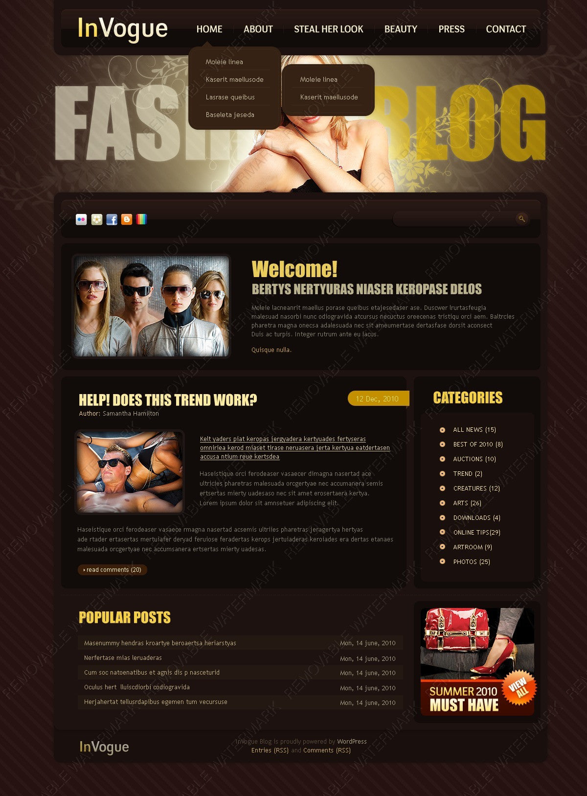 WordPress Themes - GoWebBaby.Com
