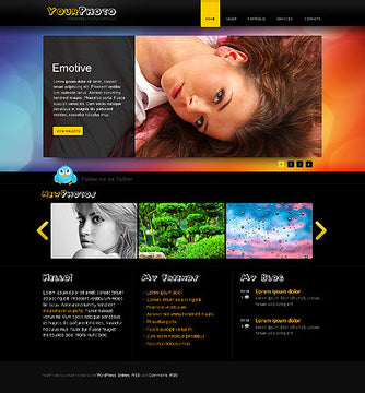 WordPress Themes - GoWebBaby.Com