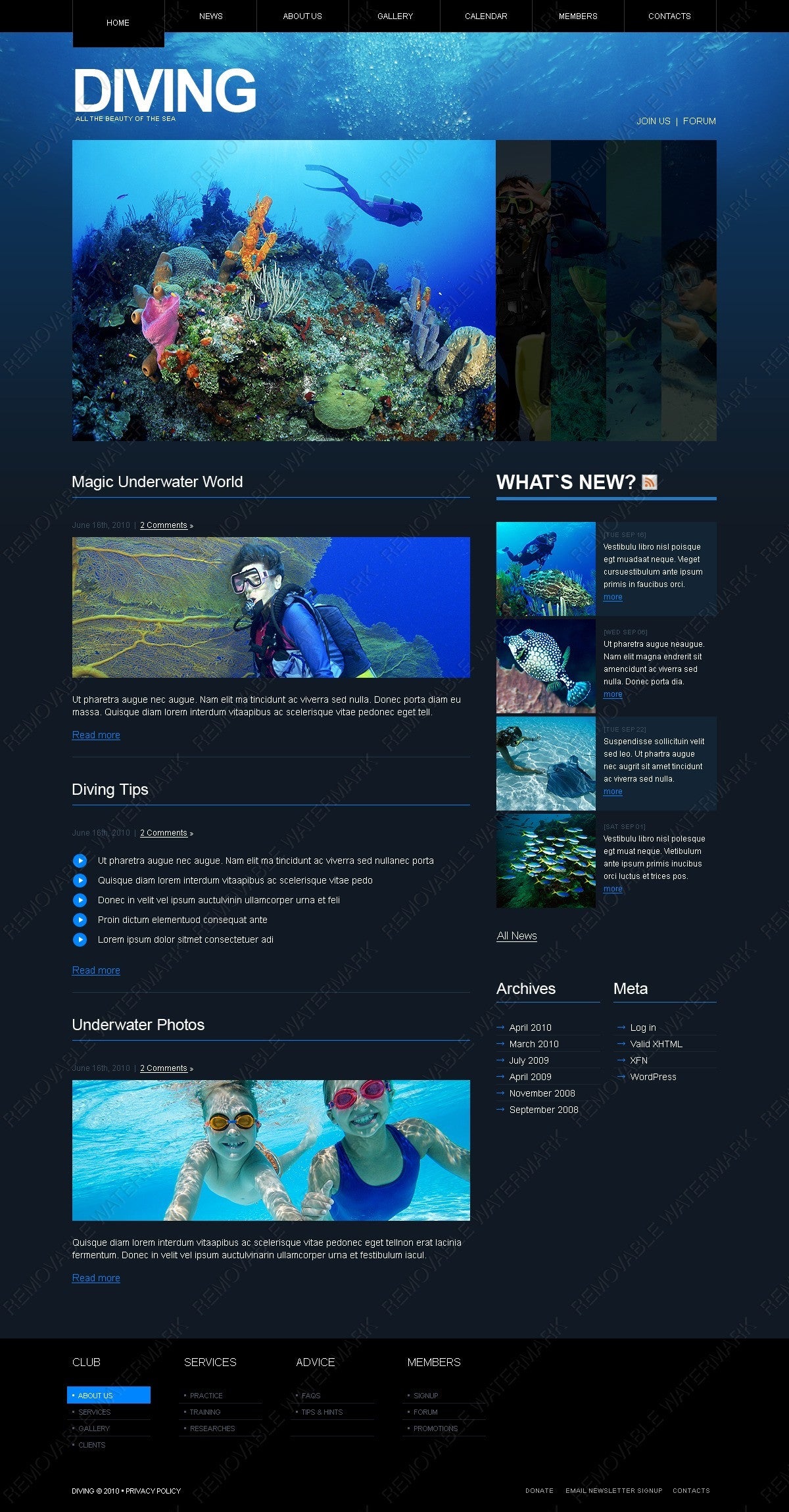 WordPress Themes - GoWebBaby.Com