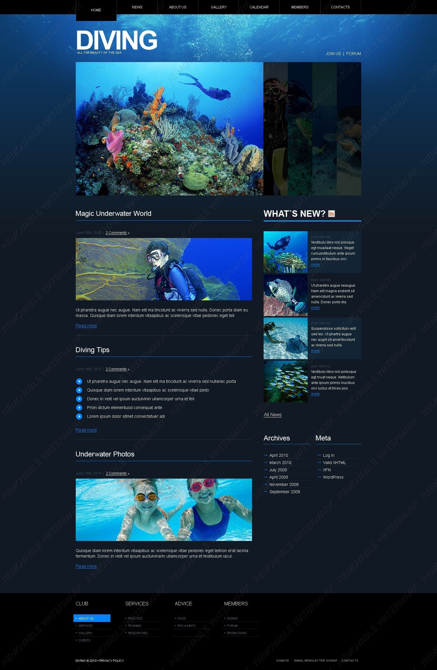 WordPress Themes - GoWebBaby.Com