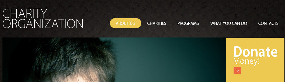 WordPress Themes - GoWebBaby.Com