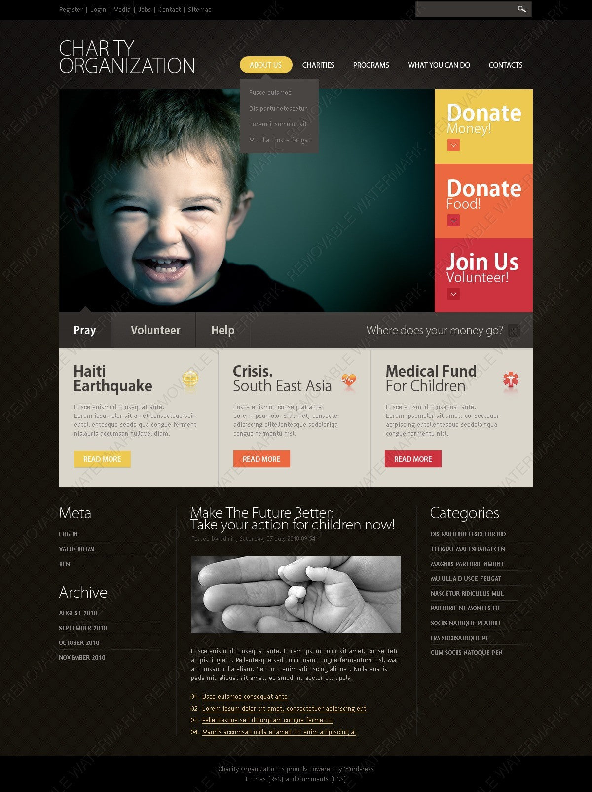 WordPress Themes - GoWebBaby.Com