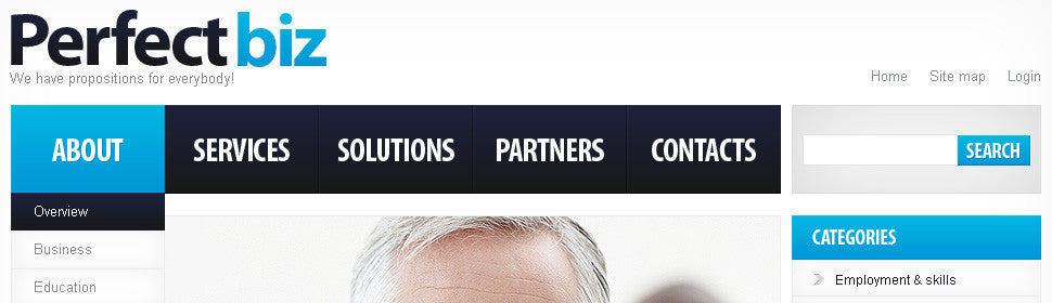 WordPress Themes - GoWebBaby.Com