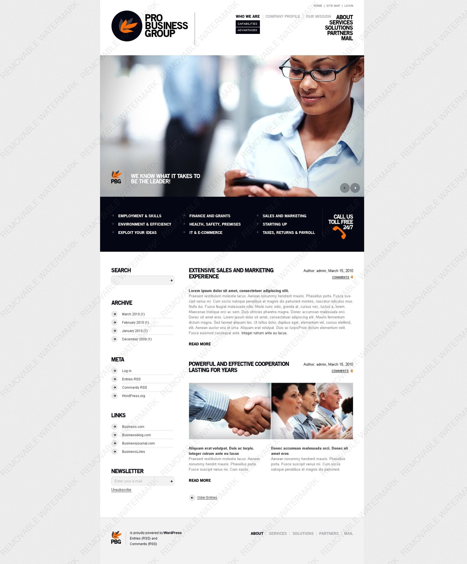 WordPress Themes - GoWebBaby.Com