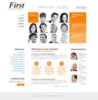 WordPress Themes - GoWebBaby.Com