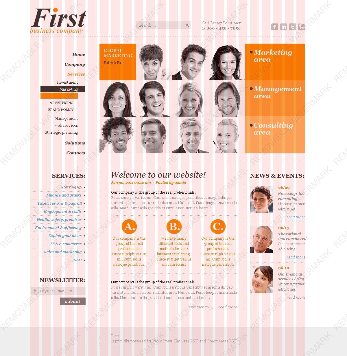 WordPress Themes - GoWebBaby.Com