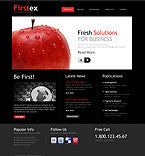 WordPress Themes - GoWebBaby.Com