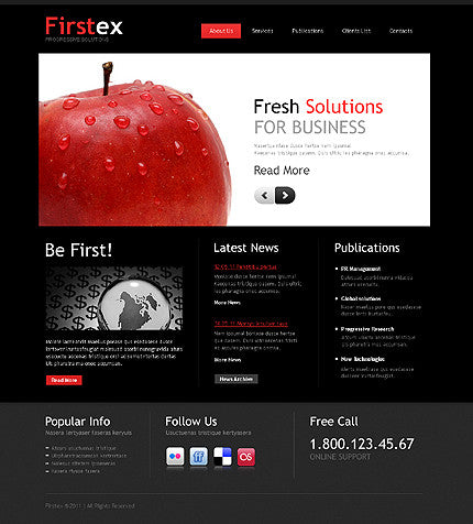 WordPress Themes - GoWebBaby.Com