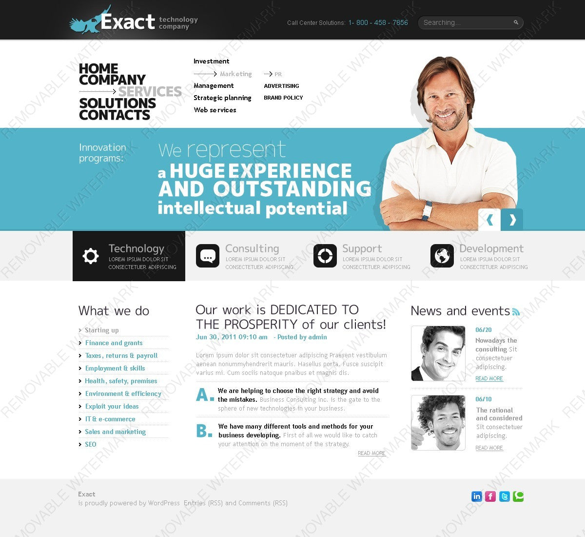 WordPress Themes - GoWebBaby.Com