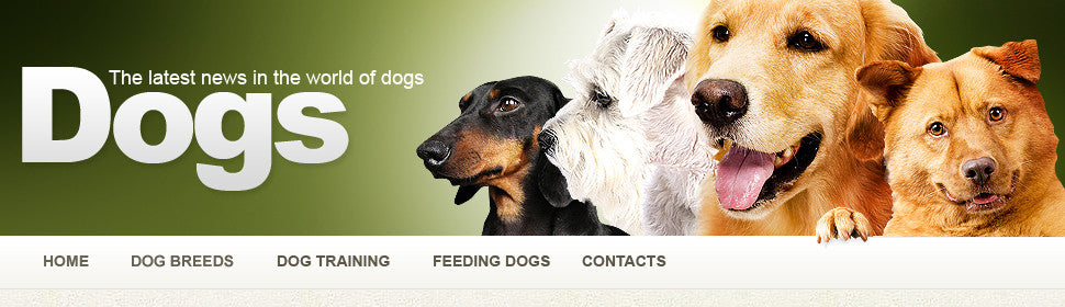 WordPress Themes - GoWebBaby.Com