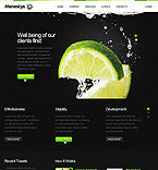 WordPress Themes - GoWebBaby.Com