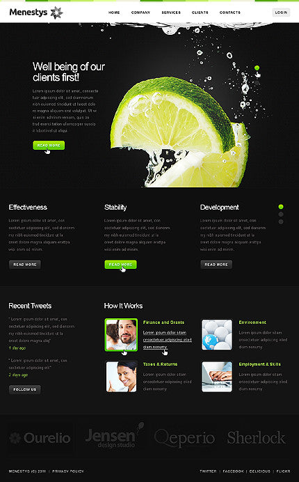 WordPress Themes - GoWebBaby.Com