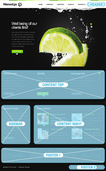 WordPress Themes - GoWebBaby.Com