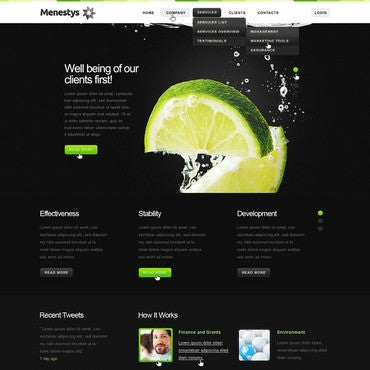 WordPress Themes - GoWebBaby.Com