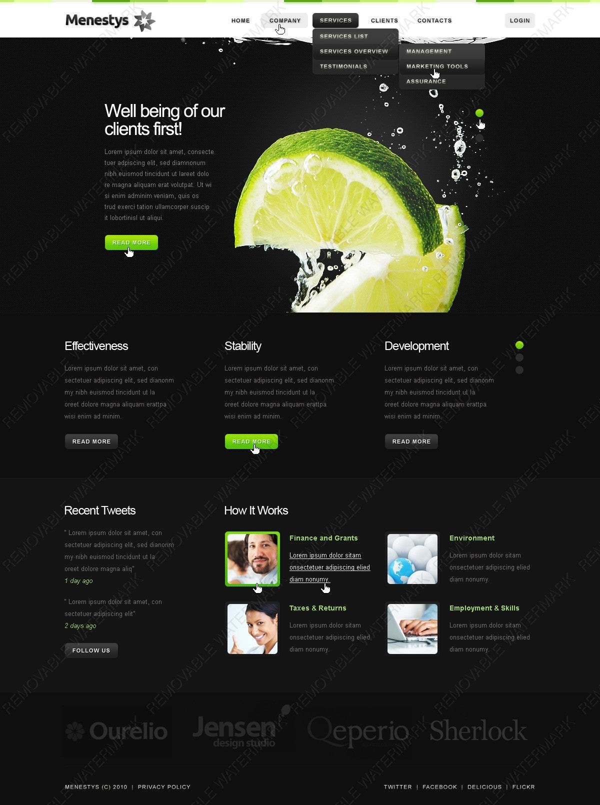 WordPress Themes - GoWebBaby.Com