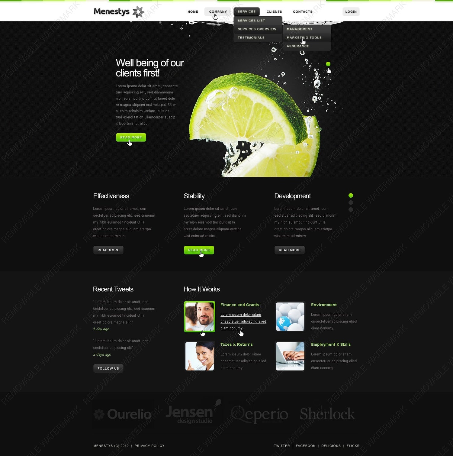 WordPress Themes - GoWebBaby.Com