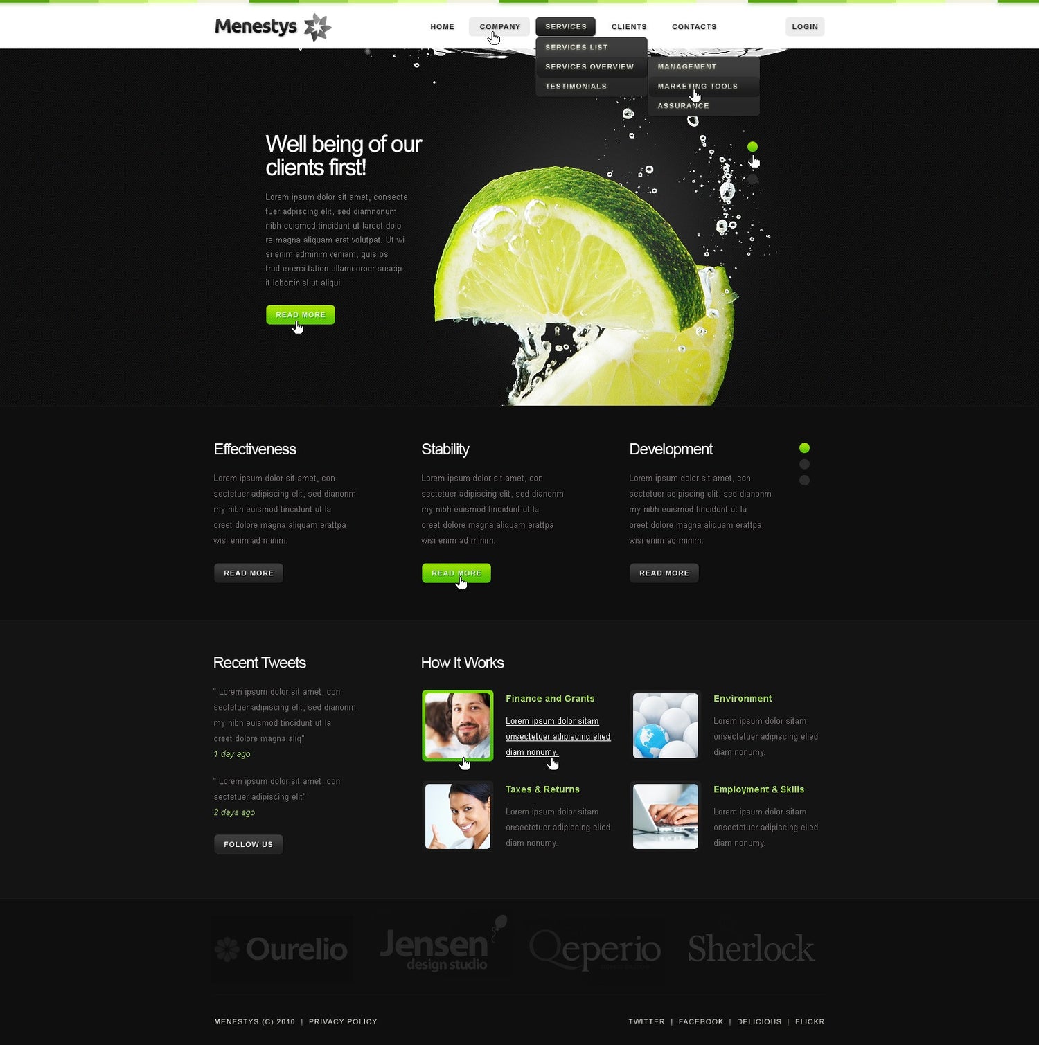 WordPress Themes - GoWebBaby.Com