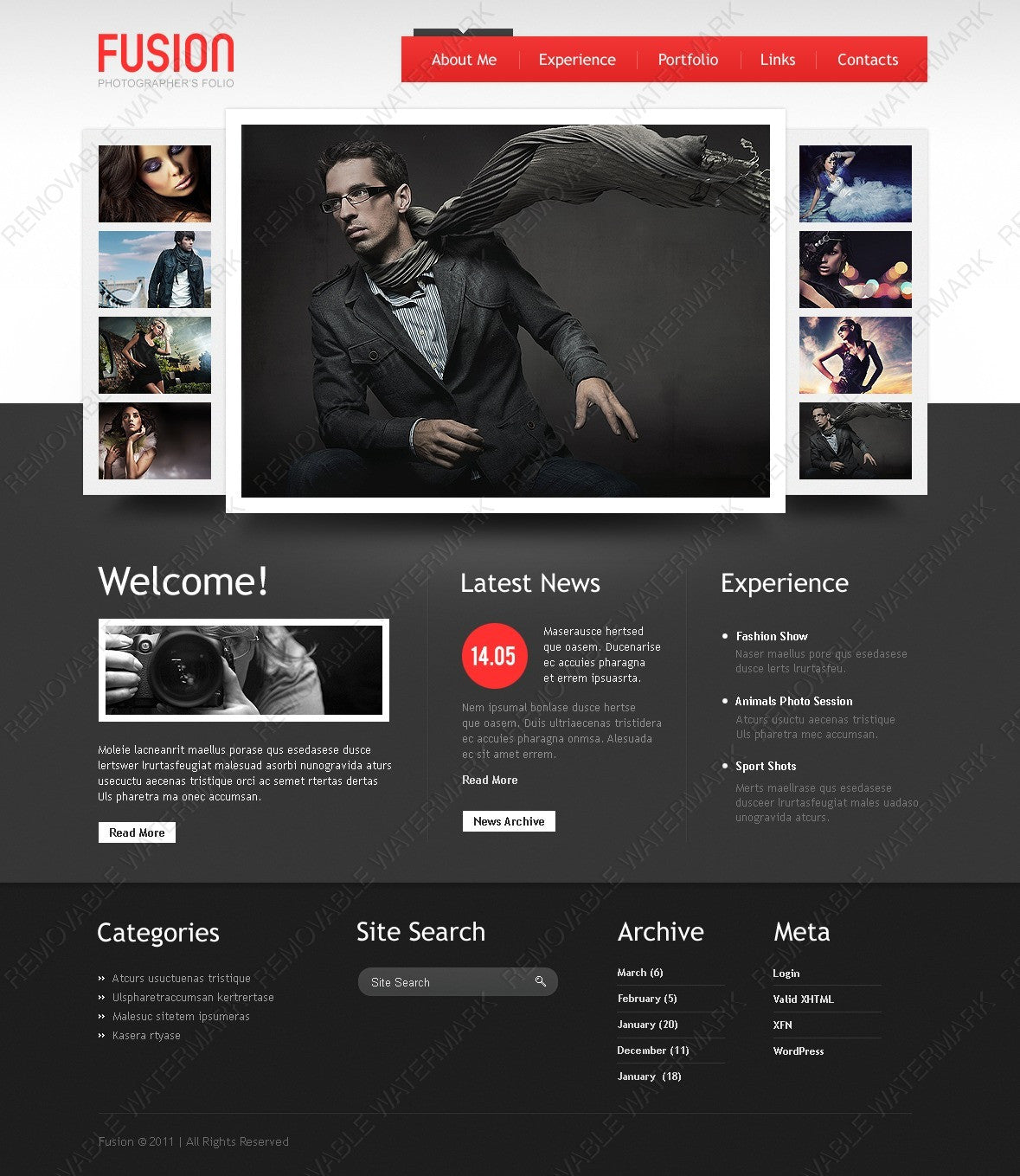 WordPress Themes - GoWebBaby.Com