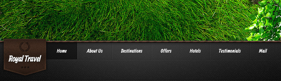WordPress Themes - GoWebBaby.Com