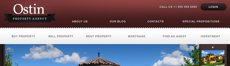 WordPress Themes - GoWebBaby.Com
