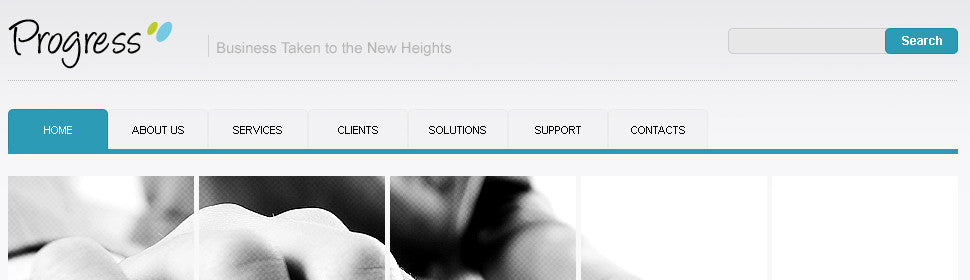 WordPress Themes - GoWebBaby.Com