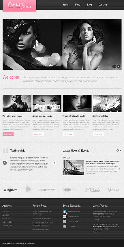 WordPress Themes - GoWebBaby.Com