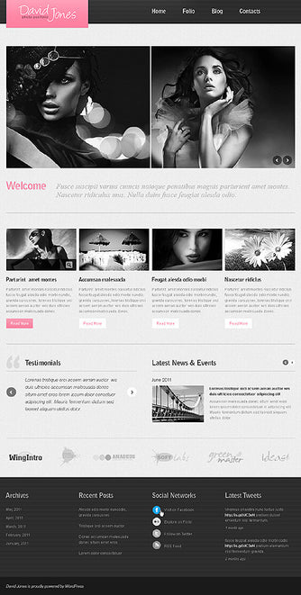 WordPress Themes - GoWebBaby.Com