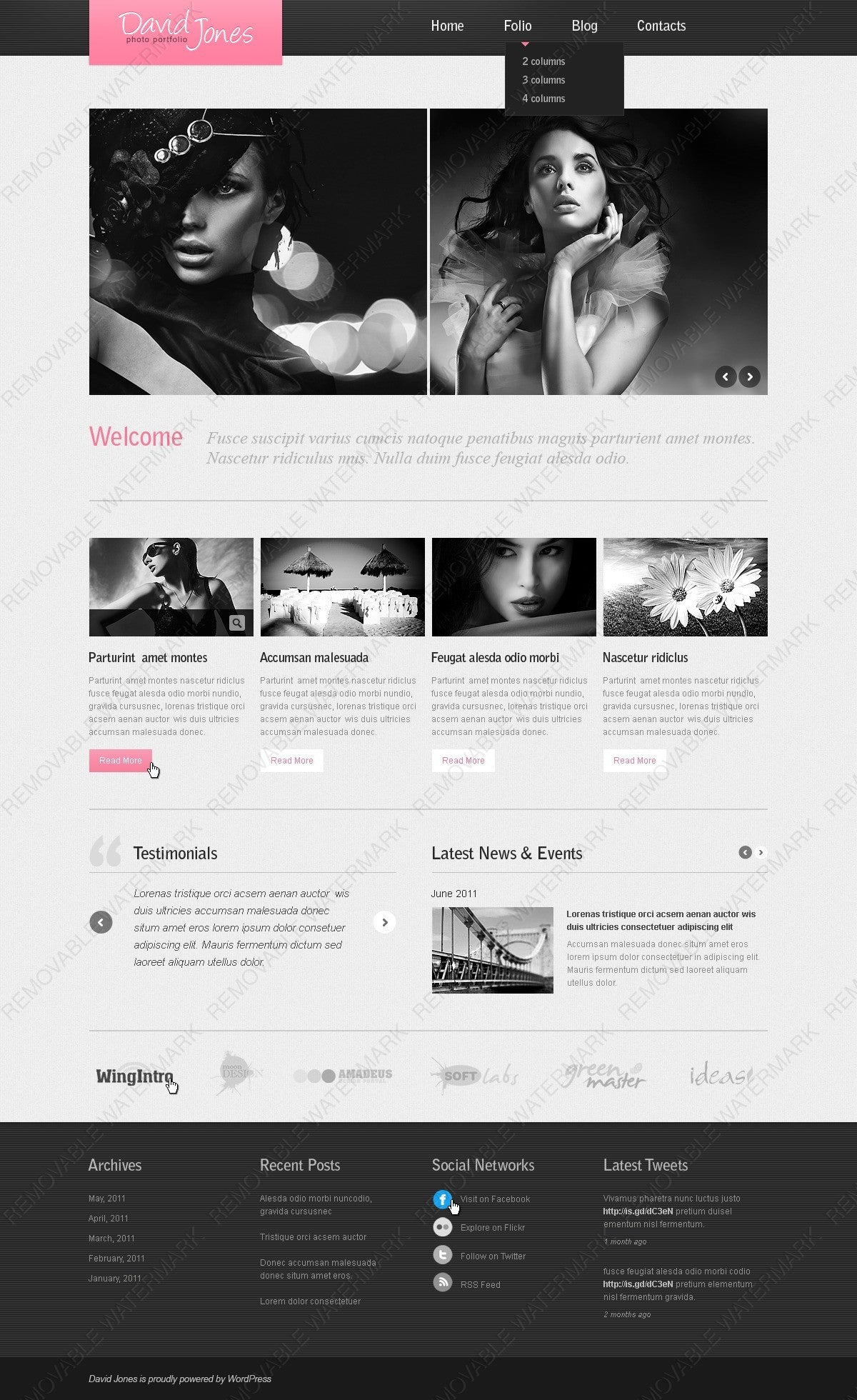 WordPress Themes - GoWebBaby.Com