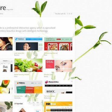 WordPress Themes - GoWebBaby.Com