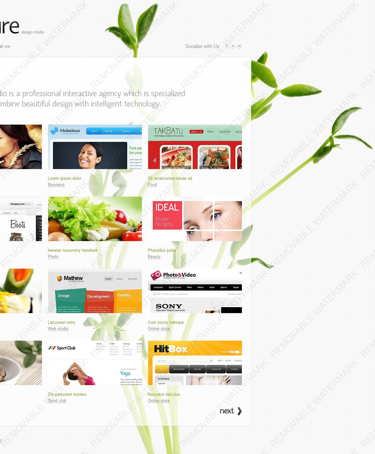 WordPress Themes - GoWebBaby.Com