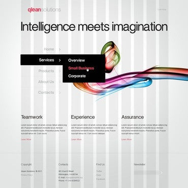 WordPress Themes - GoWebBaby.Com
