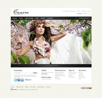Art and Photo Magento Website Design - GoWebBaby.Com