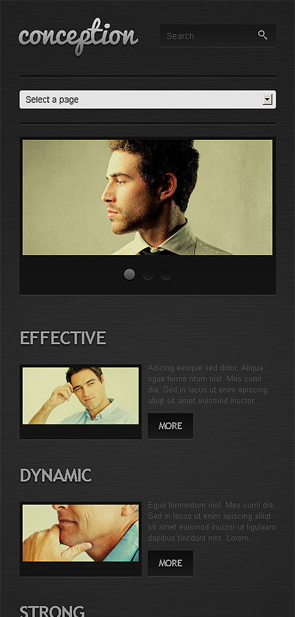 WordPress Themes - GoWebBaby.Com