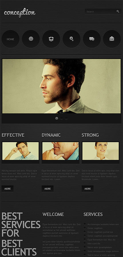 WordPress Themes - GoWebBaby.Com