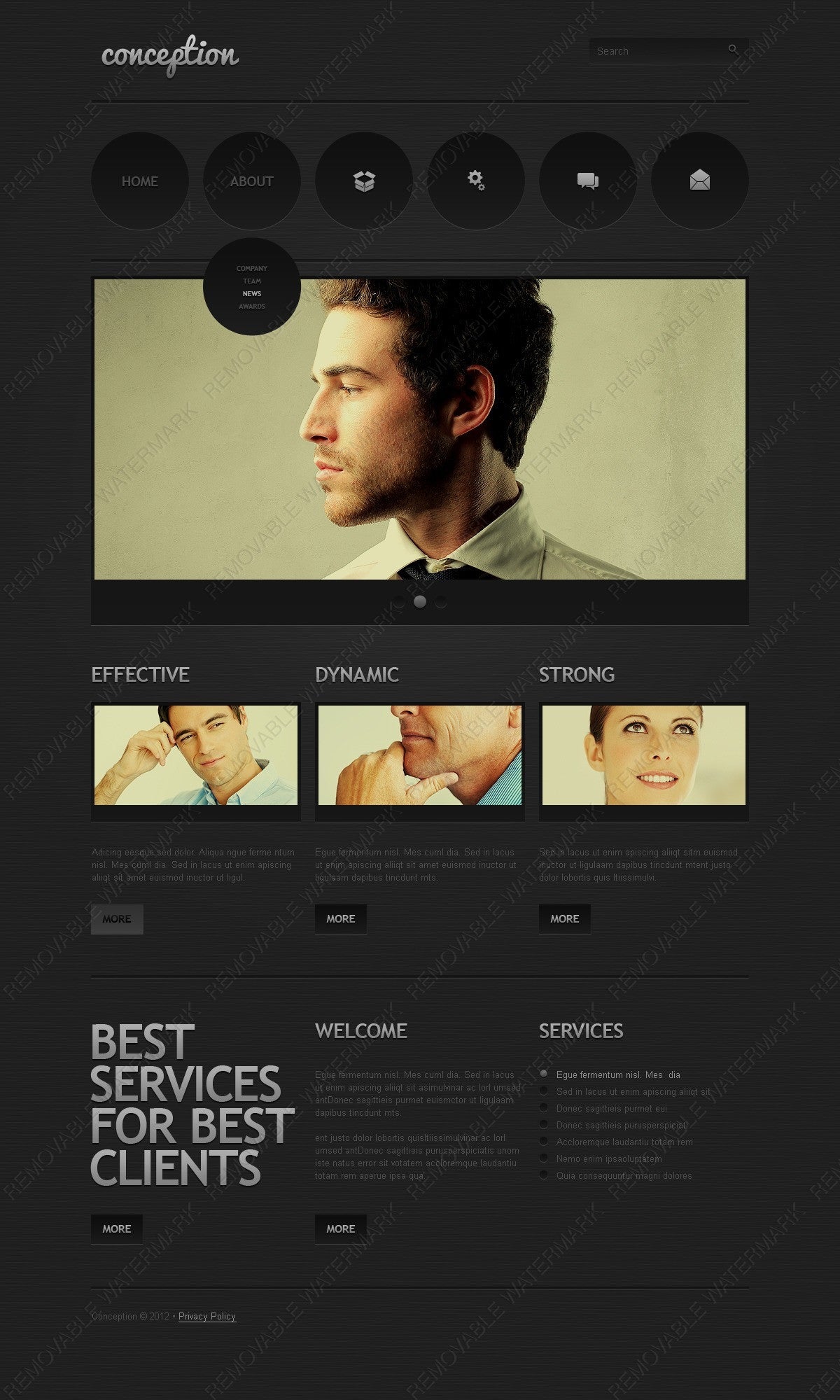 WordPress Themes - GoWebBaby.Com
