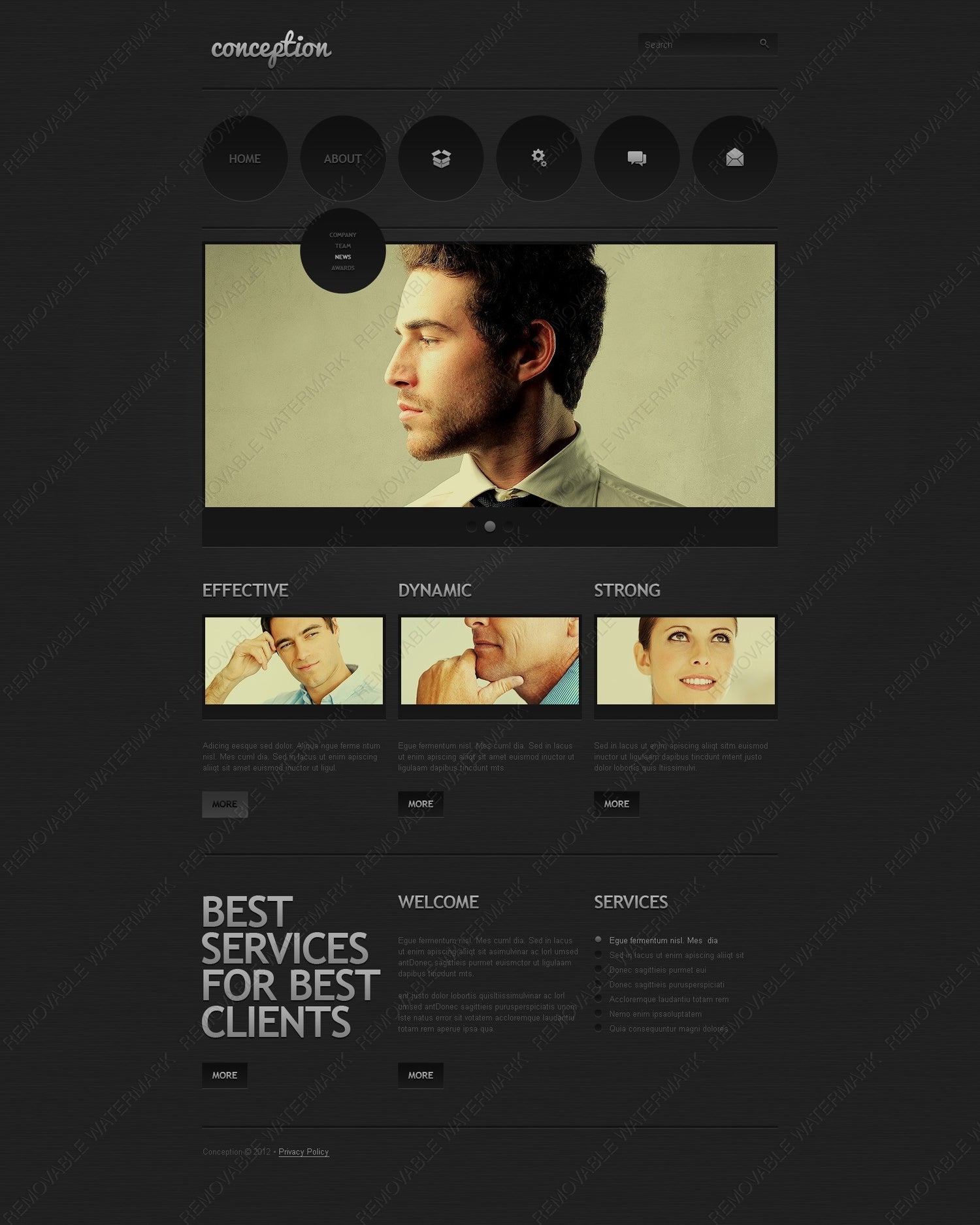 WordPress Themes - GoWebBaby.Com