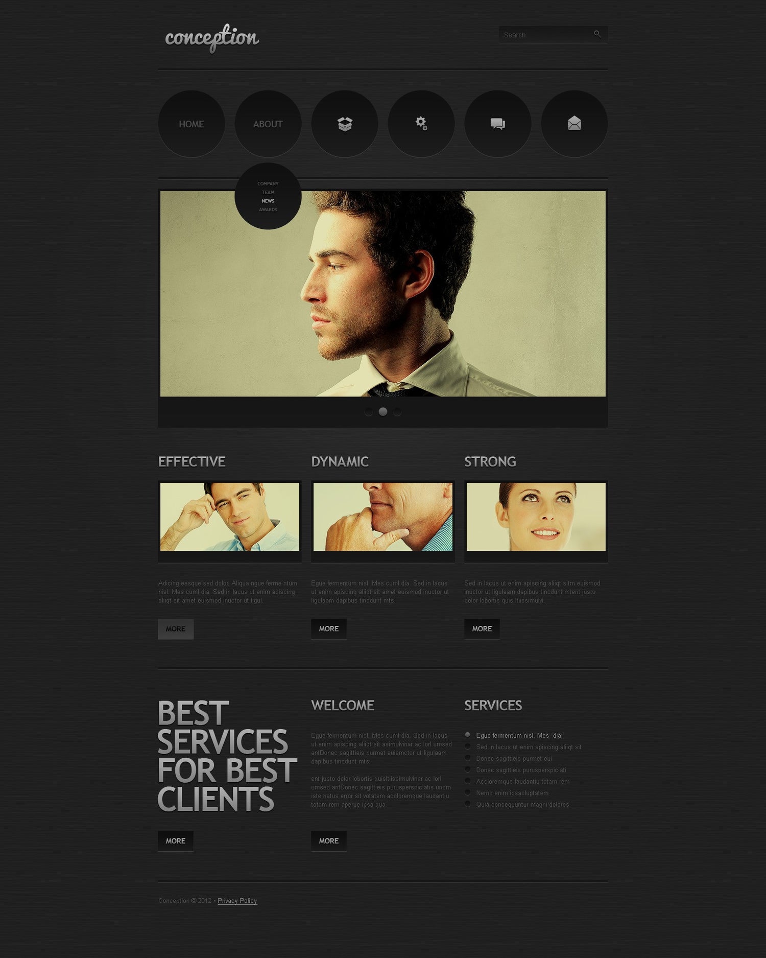 WordPress Themes - GoWebBaby.Com