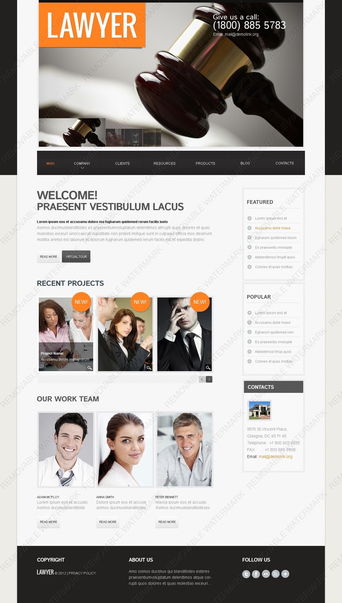 WordPress Themes - GoWebBaby.Com