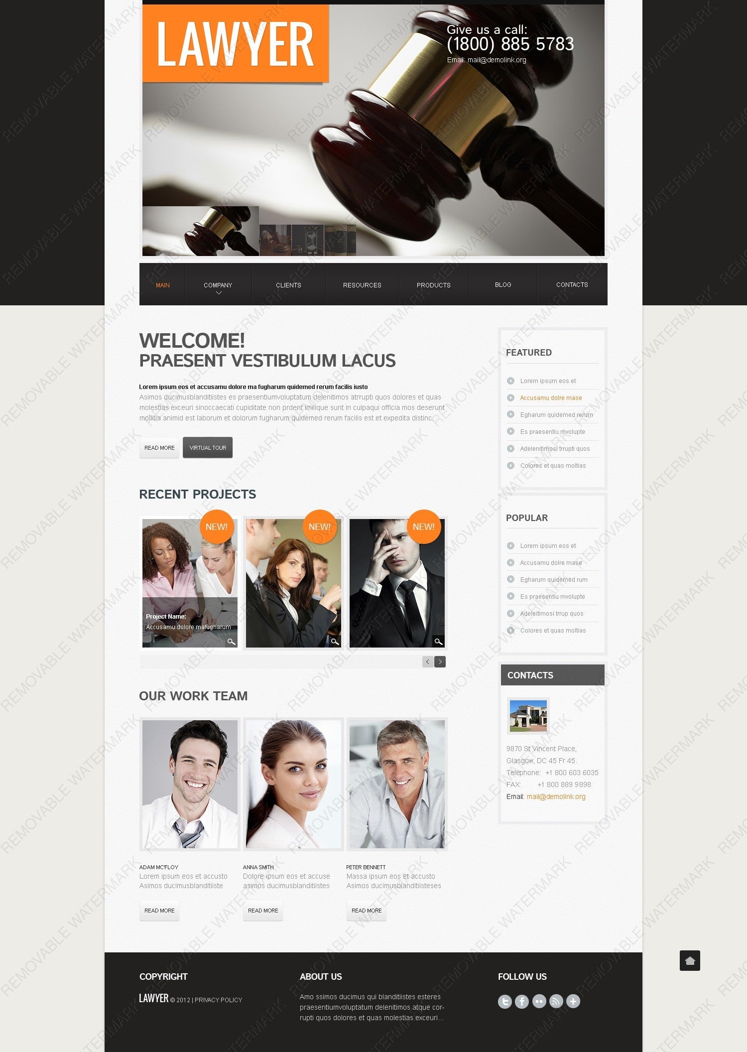 WordPress Themes - GoWebBaby.Com